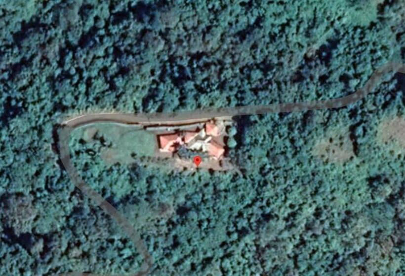 민박 Palmetto Lodge