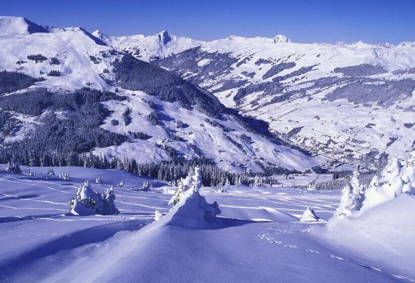 住宿加早餐  Pension Zimpasser