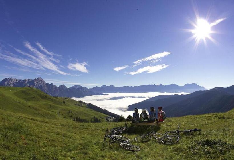 住宿加早餐  Pension Zimpasser