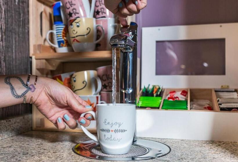 住宿加早餐  Pension Zimpasser