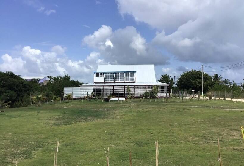 مبيت وإفطار The Bnb On Triggerfish Close To The Airport