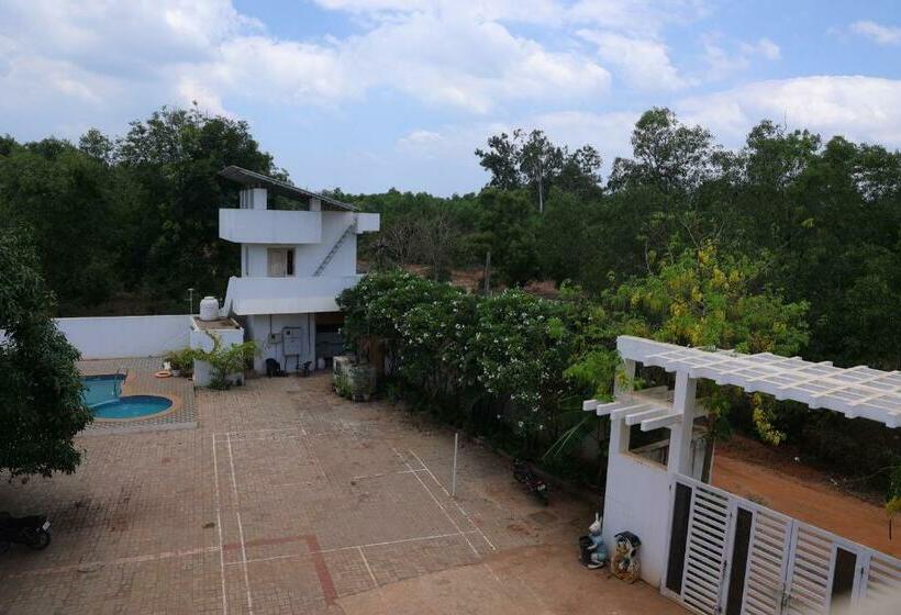 Отель Paradise Auro Oceanic