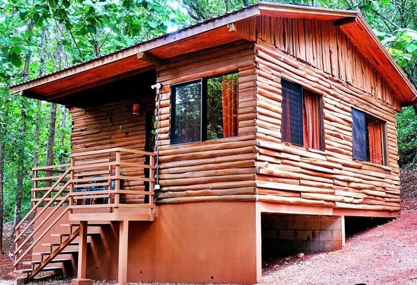 فندق Bosque Del Sol