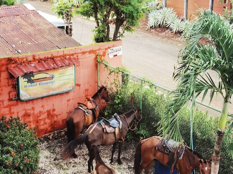 Отель Georgi Cr