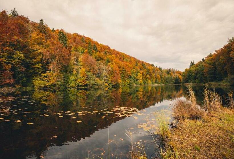 ホテル Monardo Hasenberg