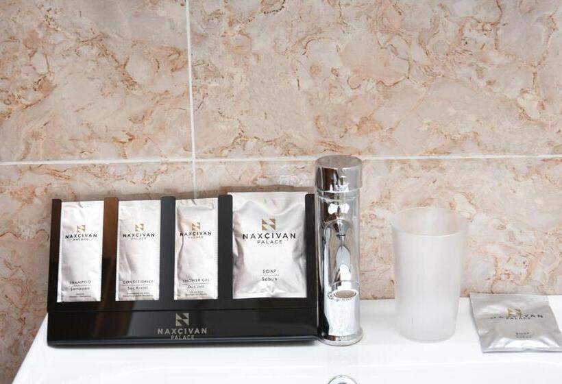 هتل Naxçıvan Palace