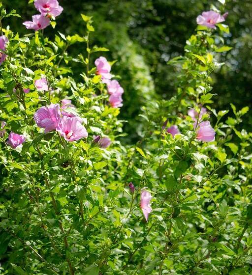 هتل Turistična Kmetija štanfel