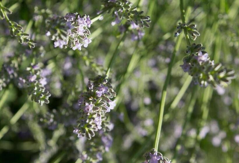 هتل Turistična Kmetija štanfel