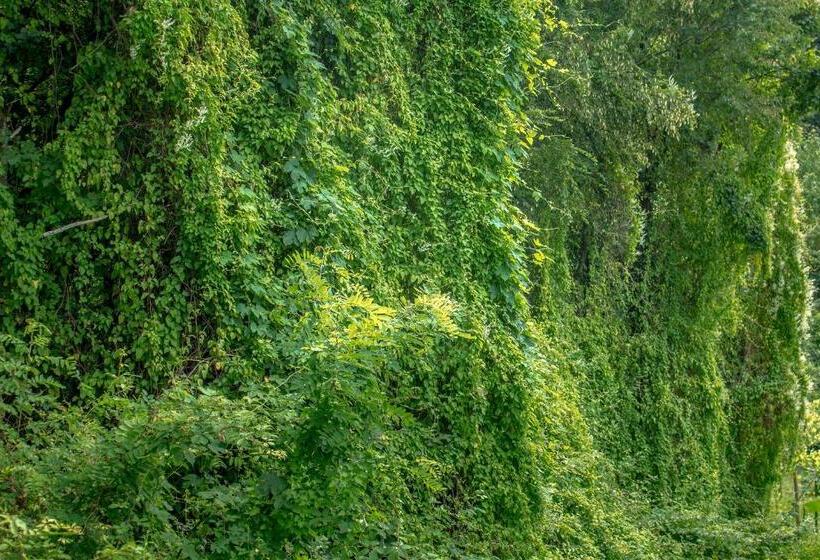 هتل Turistična Kmetija štanfel