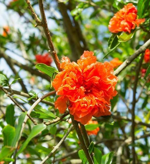 هتل Turistična Kmetija štanfel