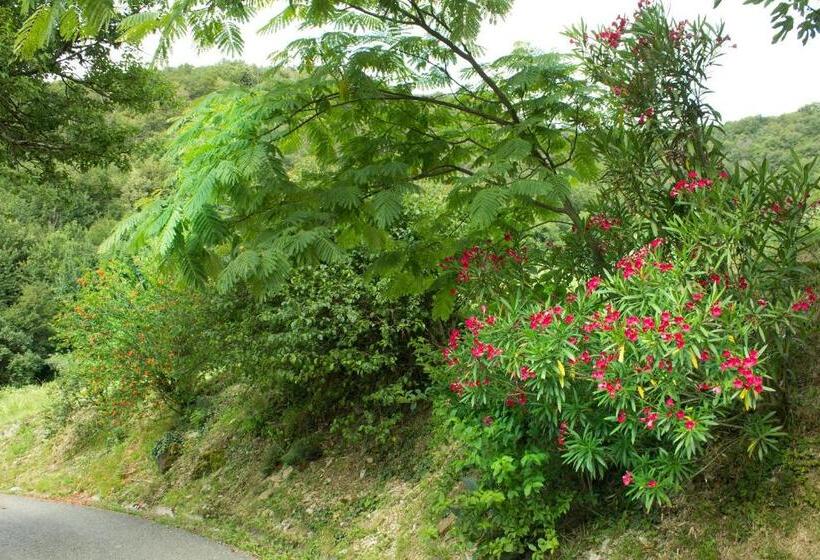 هتل Turistična Kmetija štanfel