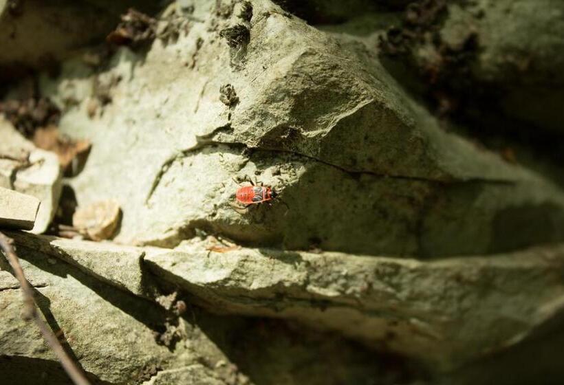 هتل Turistična Kmetija štanfel