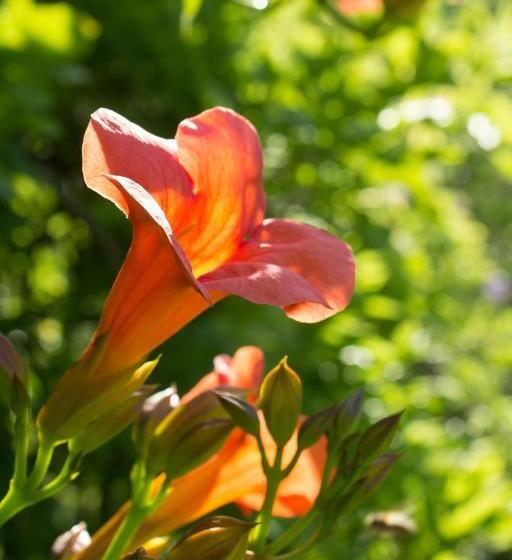 هتل Turistična Kmetija štanfel