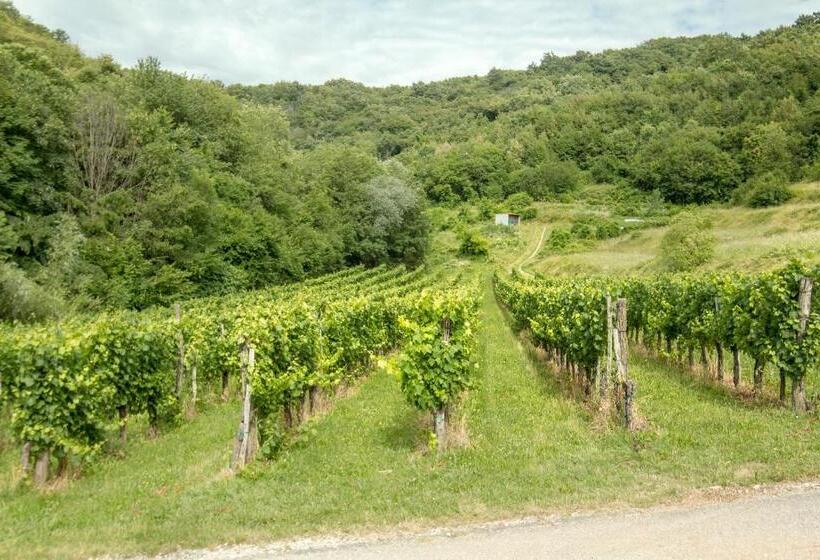 هتل Turistična Kmetija štanfel