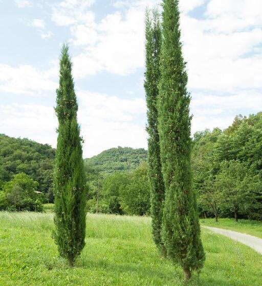 هتل Turistična Kmetija štanfel