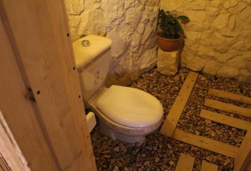 پانسیون 7 Caves