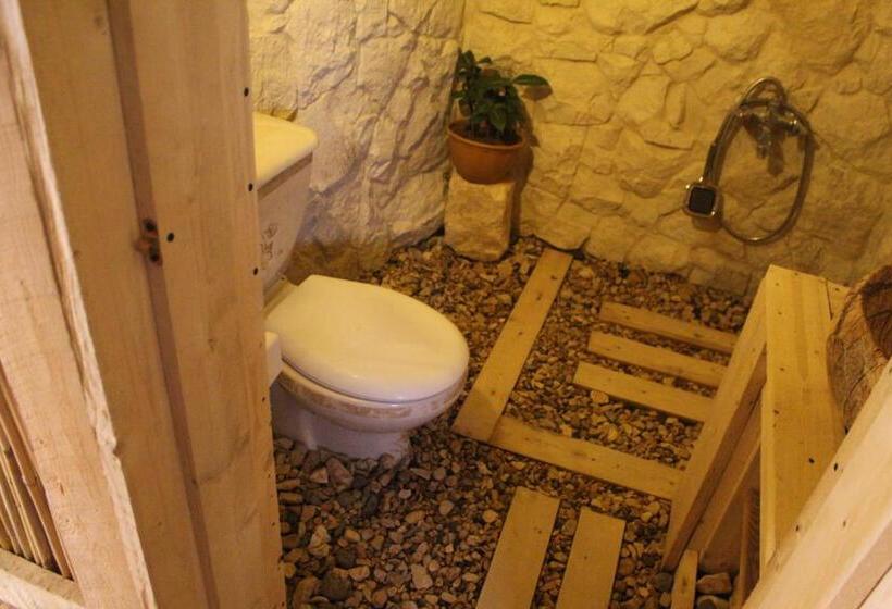 پانسیون 7 Caves