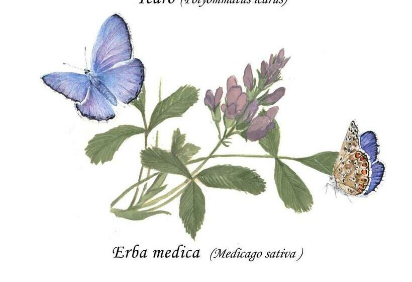 פנסיון Cascina Lai   Oasi Naturalistica   Camere Private