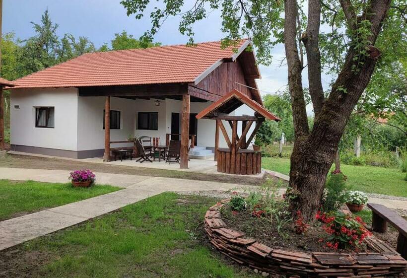 بنسيون Dumbrava Minunată