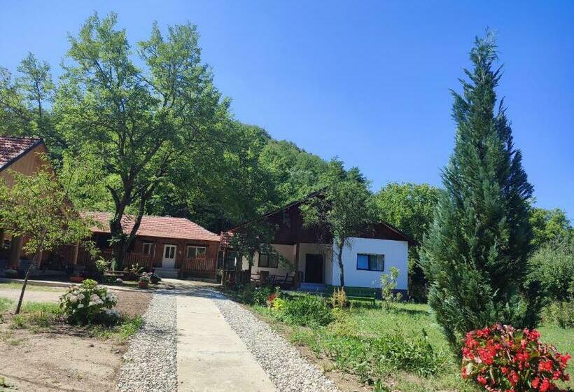 Пансион Dumbrava Minunată