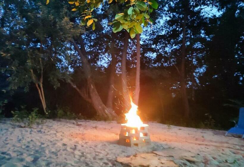 Пансион Dumbrava Minunată