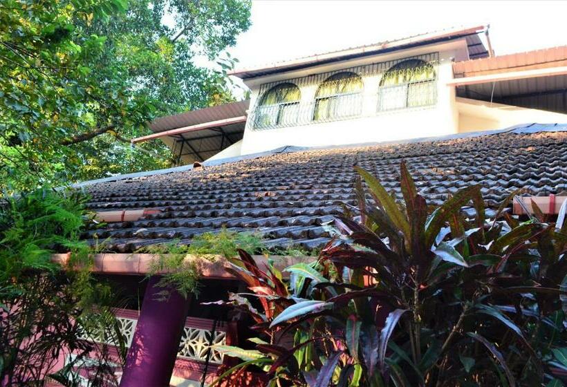 פנסיון Marias House