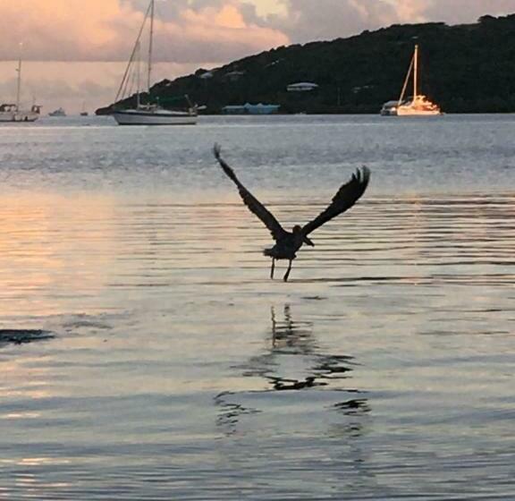 ペンション Naniqui Cottage   Only Adults  Parking Golf Car Only