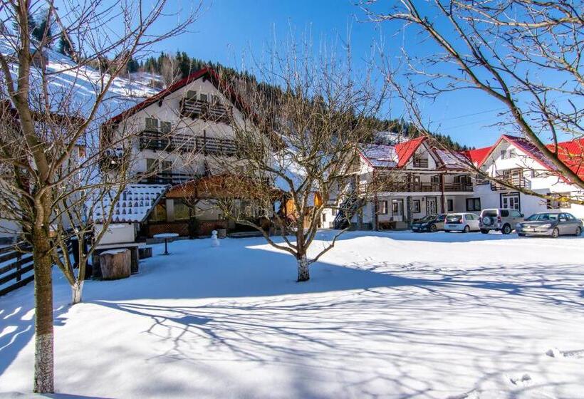 بنسيون Vila Mesteacanul