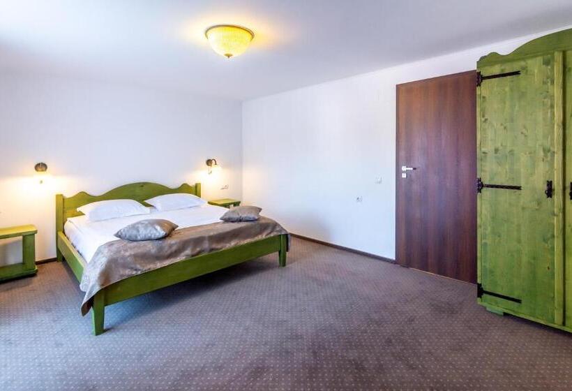 بنسيون Vila Mesteacanul