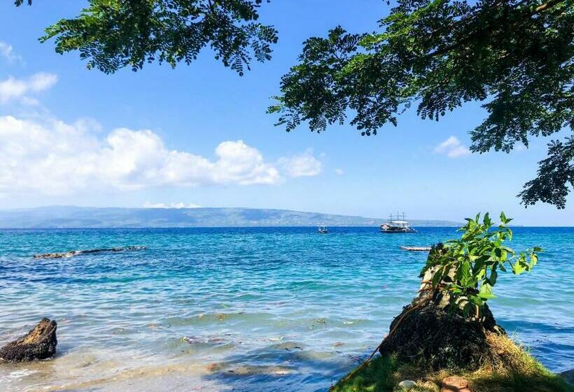 منتجع Boochee Beach