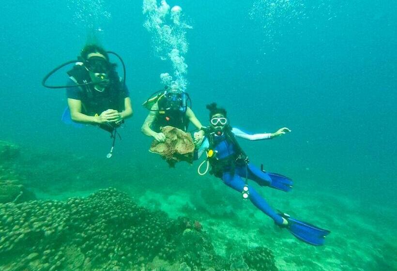 אתר נופש Boochee Beach