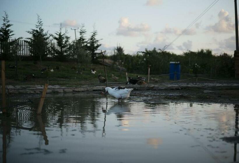 אתר נופש Natyra E Ishullit, Lezhe ,ishull Shengjin, Lezhe, Alessio, Shengjin