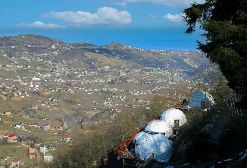Zedomepanorama