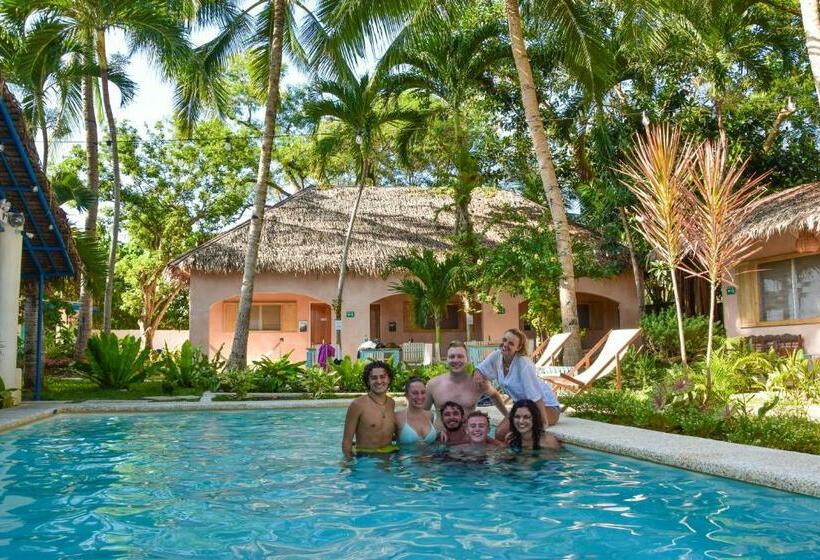 هاستل Mad Monkey Panglao