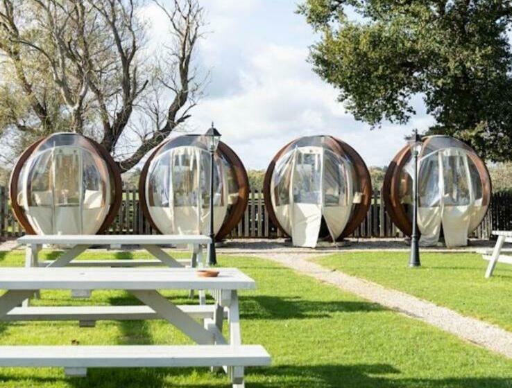 旅馆 The White Hart Inn