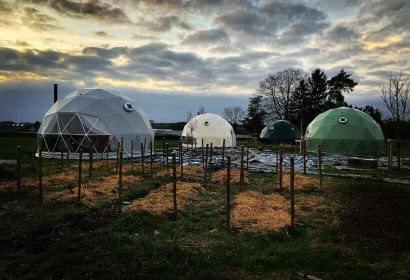 Bed and Breakfast 7 Sources