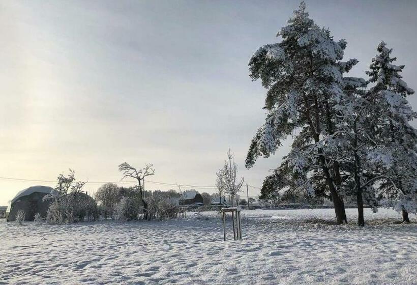 Bed and Breakfast 7 Sources