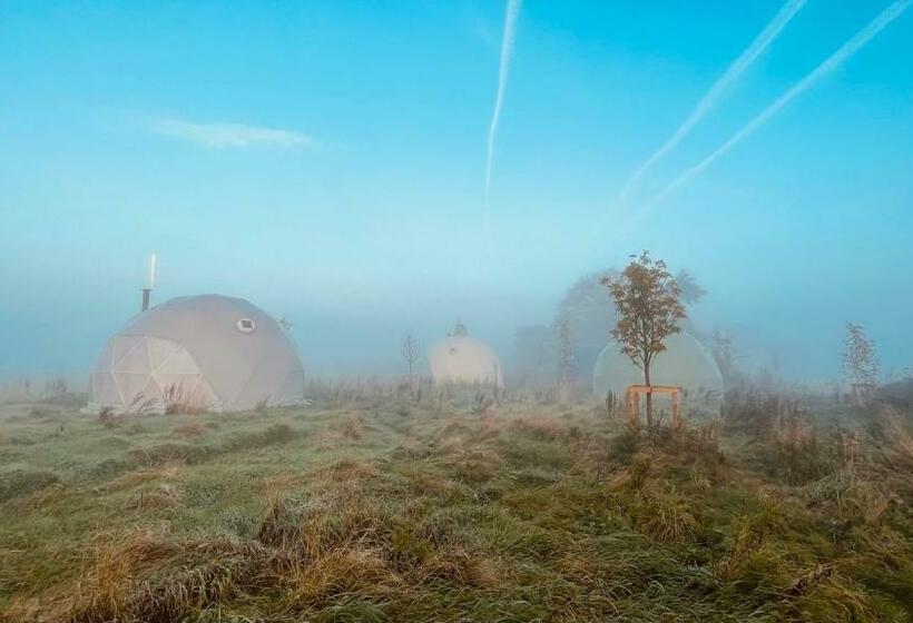 Bed and Breakfast 7 Sources