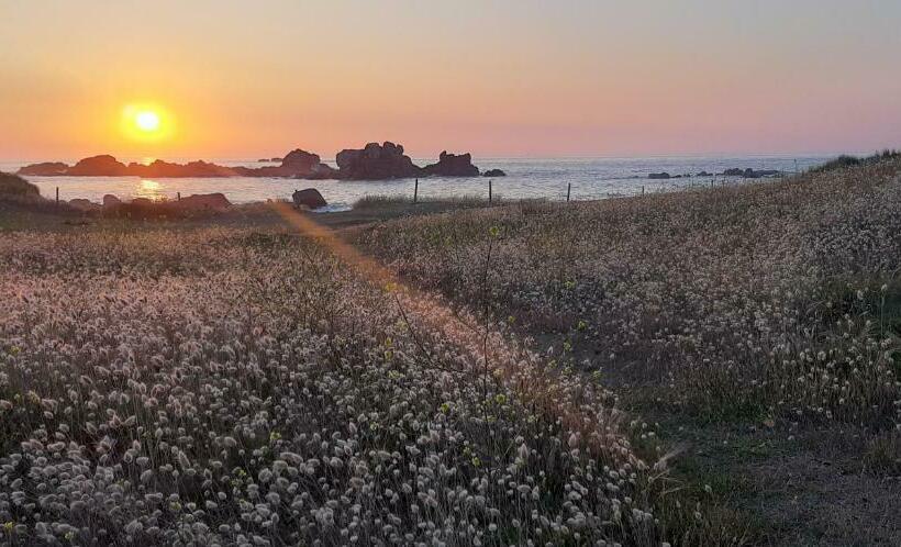 Bed and Breakfast Au Dolmen De Kerhus Mysigt