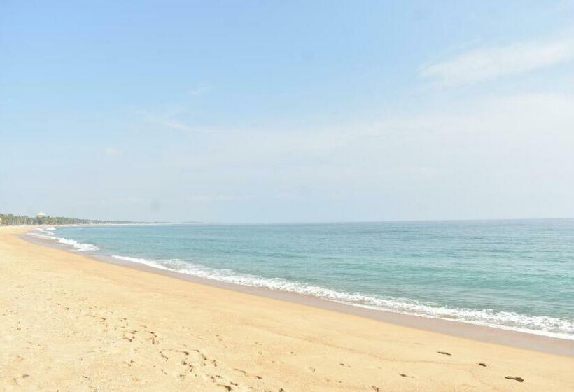 住宿加早餐 Bruce S Backpacker Homestay