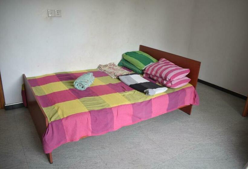 住宿加早餐 Bruce S Backpacker Homestay