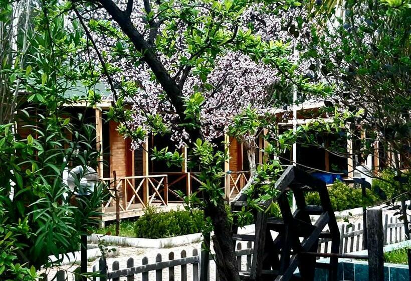 민박 Doğa Bungalov