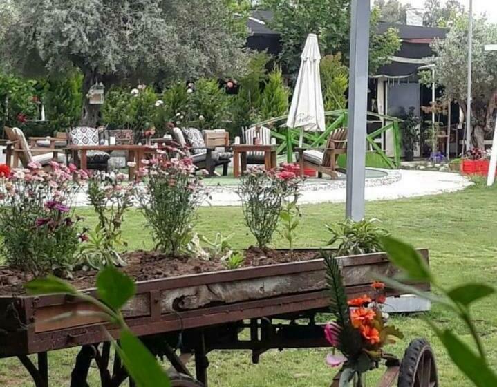 민박 Doğa Bungalov