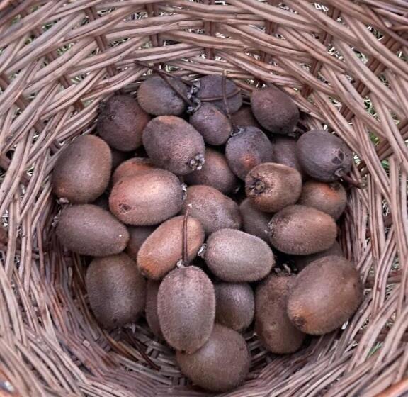 צימר Malamù Bnb Eventi