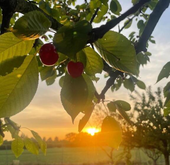 צימר Malamù Bnb Eventi