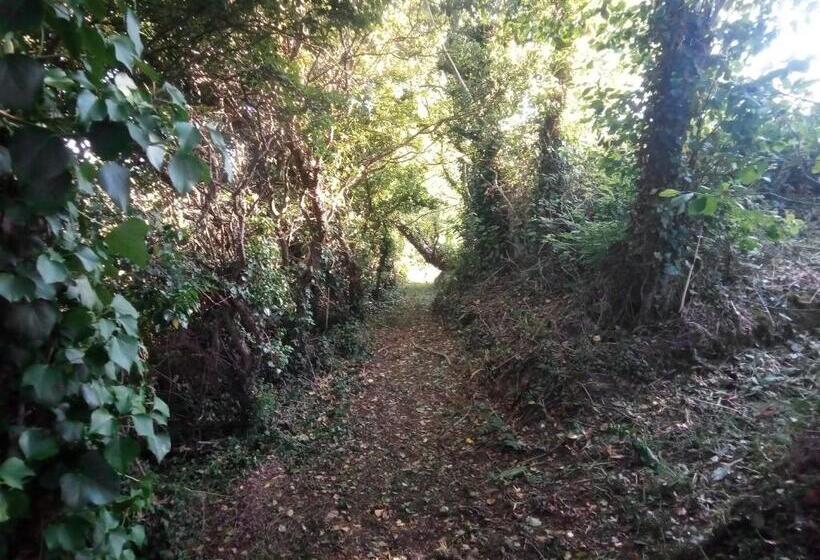 Bed and Breakfast Pandy Cymunod