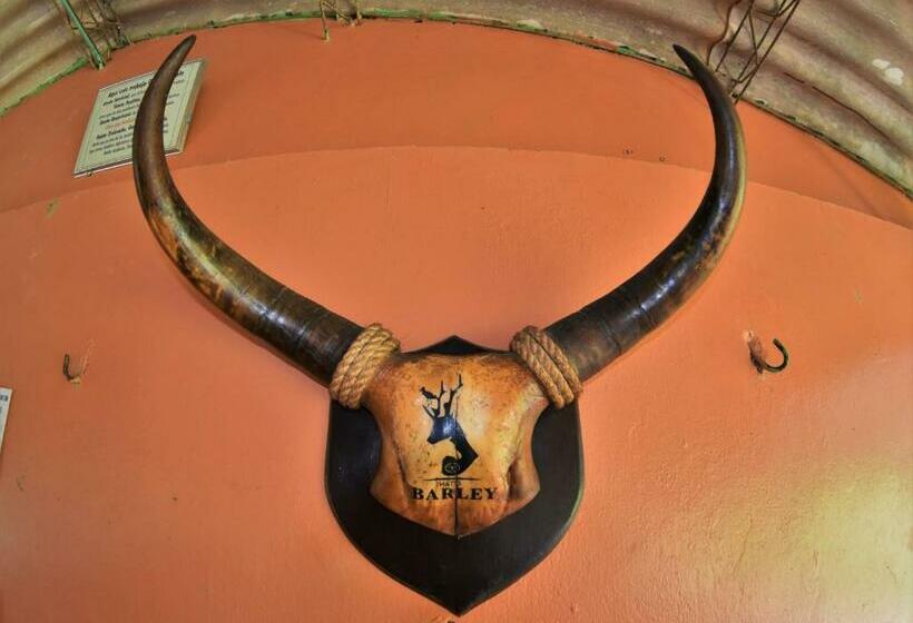 בית מלון כפרי Hato Barley