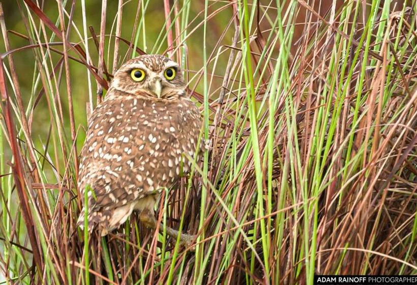 בית מלון כפרי Hato Barley