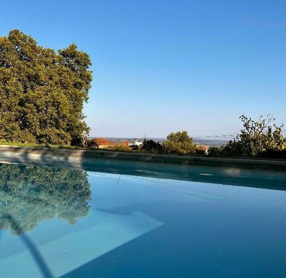 호텔 Quinta Da Porta   Solar De Vale De Prazeres