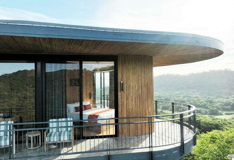 호텔 Suitree Experience